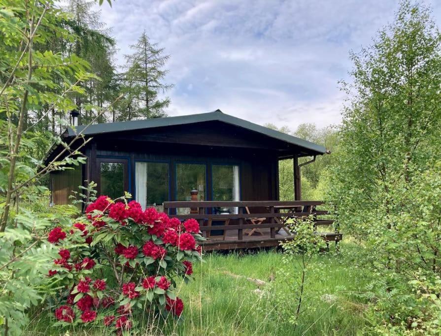 דירות פורט ויליאם Woodland Retreats מראה חיצוני תמונה