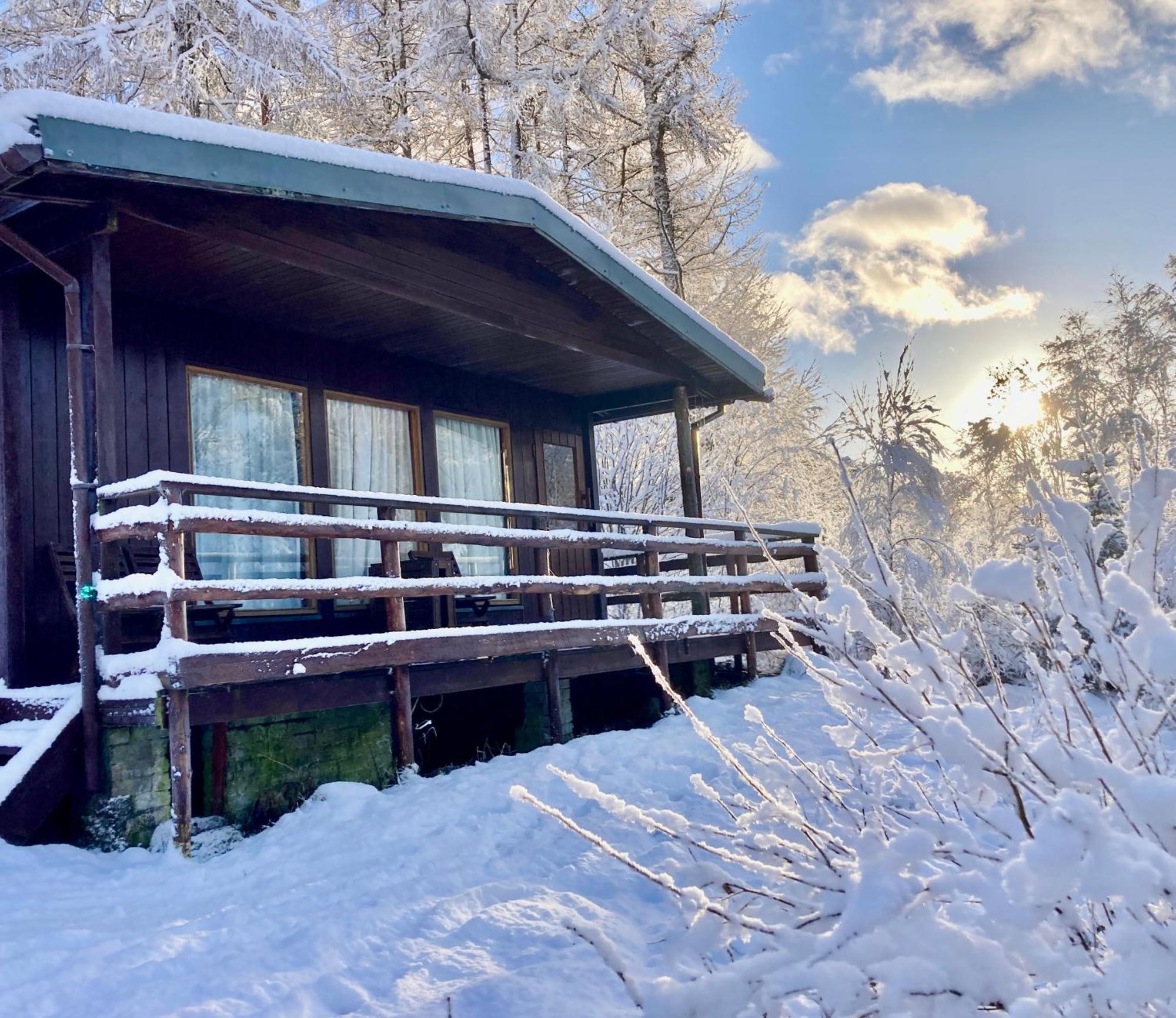 דירות פורט ויליאם Woodland Retreats מראה חיצוני תמונה